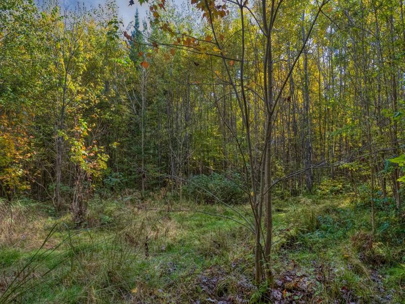 10a Off Turtle Lake Rd, , Winchester,  WI 54557 United States