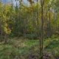 10a Off Turtle Lake Rd, , Winchester,  WI 54557 United States