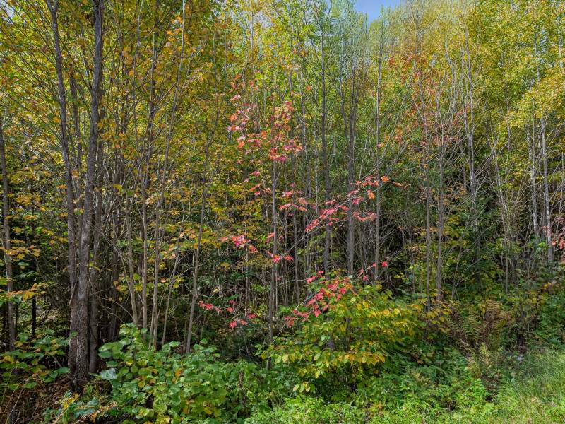 10a Off Turtle Lake Rd, , Winchester,  WI 54557 United States