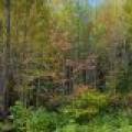 10a Off Turtle Lake Rd, , Winchester,  WI 54557 United States
