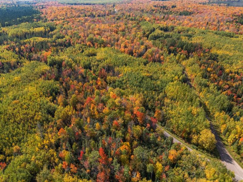 10a Off Turtle Lake Rd, , Winchester,  WI 54557 United States