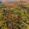 10a Off Turtle Lake Rd, , Winchester,  WI 54557 United States
