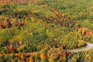 10a Off Turtle Lake Rd, , Winchester,  WI 54557 United States
