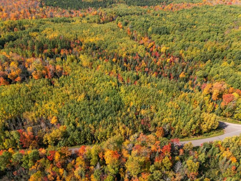 10a Off Turtle Lake Rd, , Winchester,  WI 54557 United States