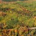 10a Off Turtle Lake Rd, , Winchester,  WI 54557 United States