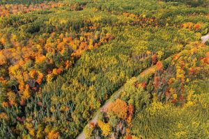 10a Off Turtle Lake Rd, , Winchester,  WI 54557 United States