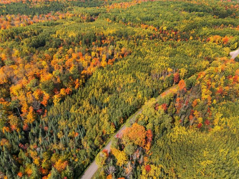 10a Off Turtle Lake Rd, , Winchester,  WI 54557 United States