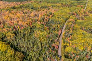 10a Off Turtle Lake Rd, , Winchester,  WI 54557 United States