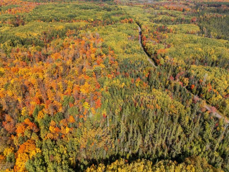 10a Off Turtle Lake Rd, , Winchester,  WI 54557 United States