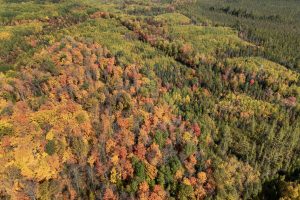 10a Off Turtle Lake Rd, , Winchester,  WI 54557 United States