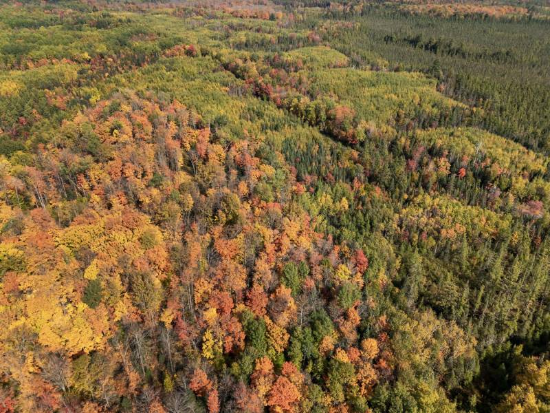 10a Off Turtle Lake Rd, , Winchester,  WI 54557 United States