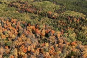10a Off Turtle Lake Rd, , Winchester,  WI 54557 United States