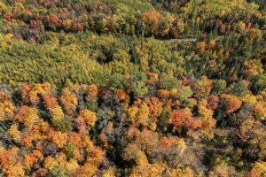 10a Off Turtle Lake Rd, , Winchester,  WI 54557 United States