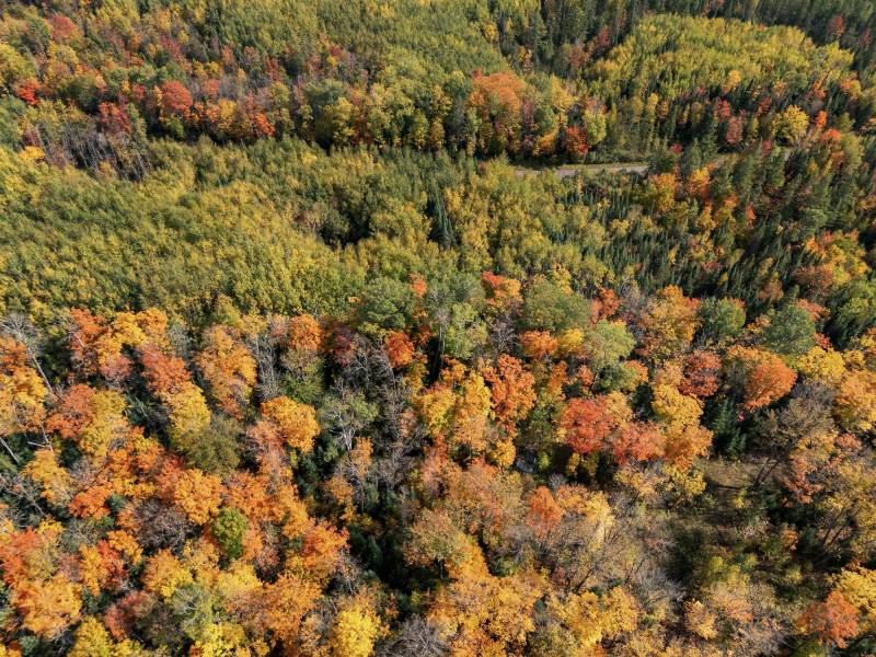 10a Off Turtle Lake Rd, , Winchester,  WI 54557 United States