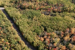 10a Off Turtle Lake Rd, , Winchester,  WI 54557 United States