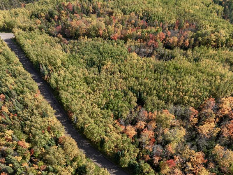 10a Off Turtle Lake Rd, , Winchester,  WI 54557 United States