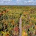 10a Off Turtle Lake Rd, , Winchester,  WI 54557 United States
