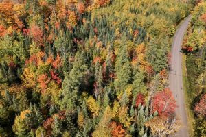 10a Off Turtle Lake Rd, , Winchester,  WI 54557 United States