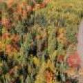 10a Off Turtle Lake Rd, , Winchester,  WI 54557 United States