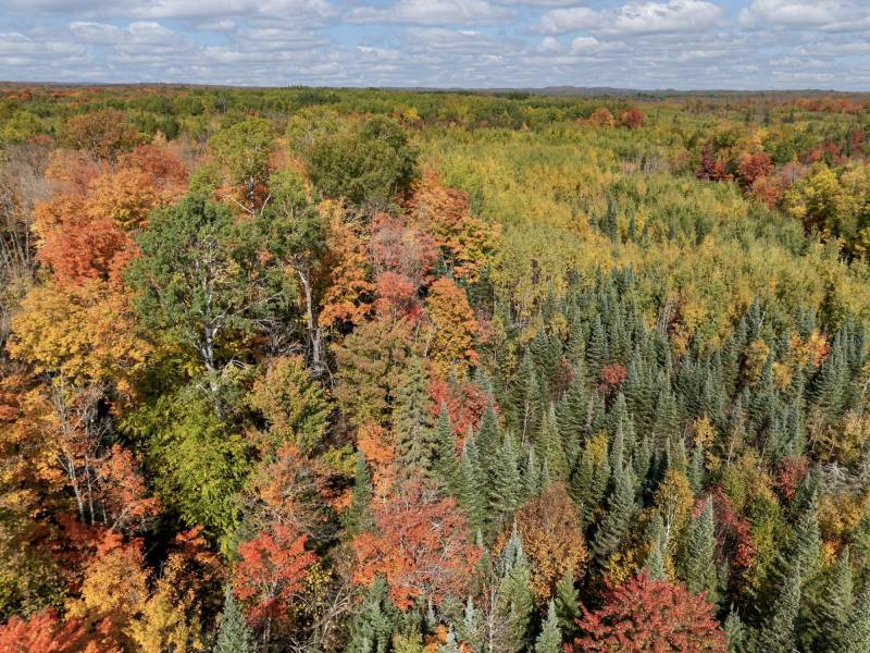10a Off Turtle Lake Rd, , Winchester,  WI 54557 United States