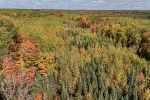 10a Off Turtle Lake Rd, , Winchester,  WI 54557 United States