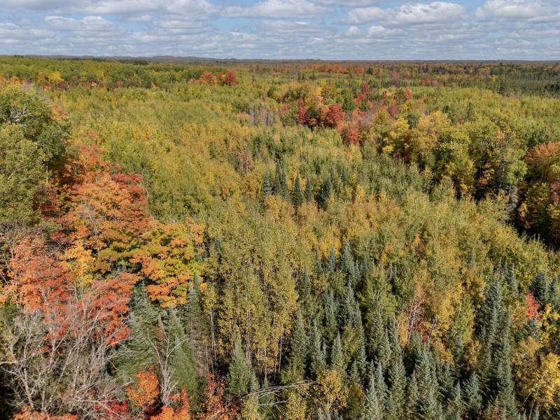 10a Off Turtle Lake Rd, , Winchester,  WI 54557 United States