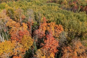 10a Off Turtle Lake Rd, , Winchester,  WI 54557 United States