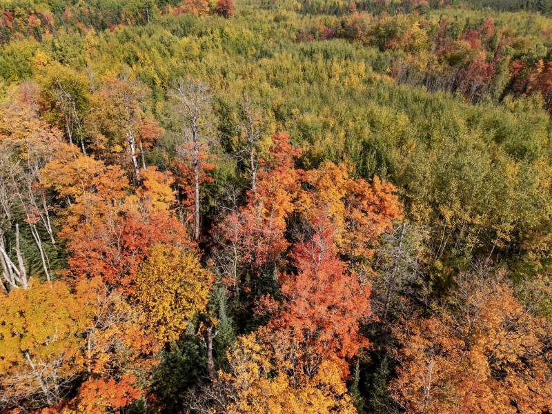 10a Off Turtle Lake Rd, , Winchester,  WI 54557 United States