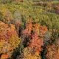 10a Off Turtle Lake Rd, , Winchester,  WI 54557 United States