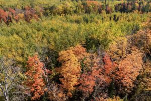 10a Off Turtle Lake Rd, , Winchester,  WI 54557 United States