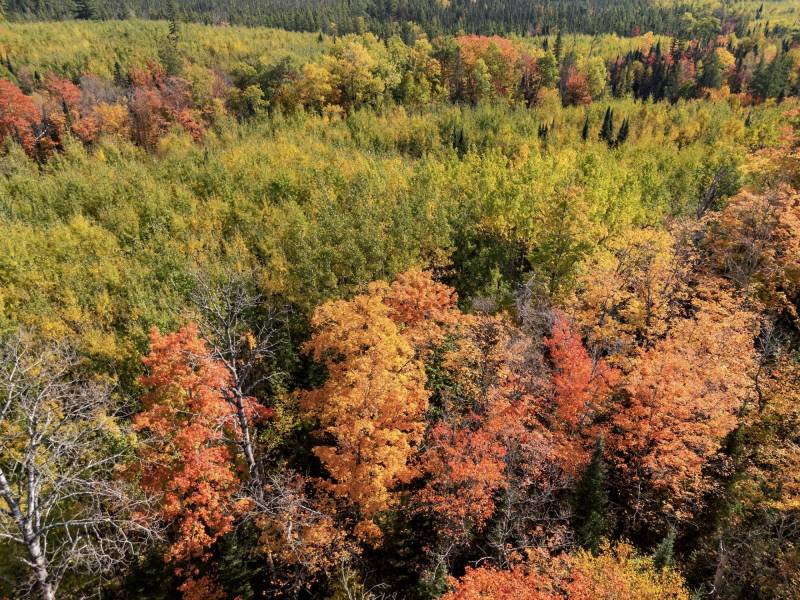 10a Off Turtle Lake Rd, , Winchester,  WI 54557 United States