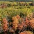 10a Off Turtle Lake Rd, , Winchester,  WI 54557 United States