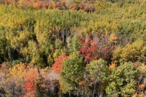 10a Off Turtle Lake Rd, , Winchester,  WI 54557 United States