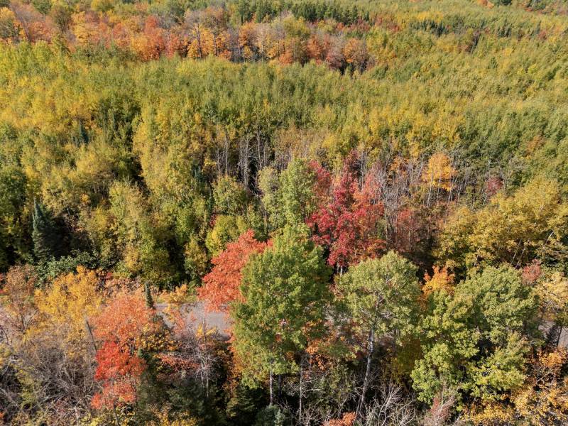 10a Off Turtle Lake Rd, , Winchester,  WI 54557 United States