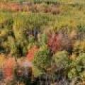 10a Off Turtle Lake Rd, , Winchester,  WI 54557 United States