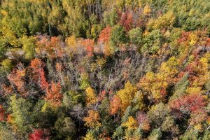 10a Off Turtle Lake Rd, , Winchester,  WI 54557 United States