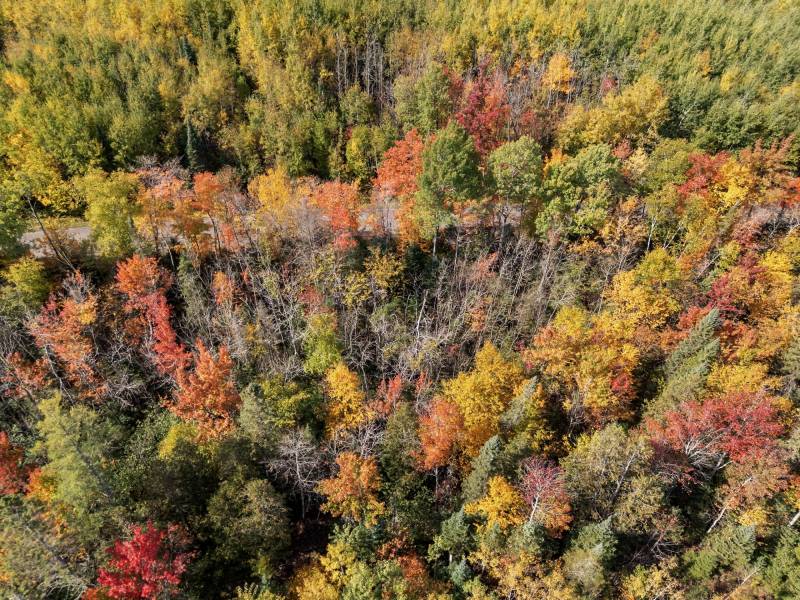 10a Off Turtle Lake Rd, , Winchester,  WI 54557 United States