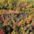 10a Off Turtle Lake Rd, , Winchester,  WI 54557 United States