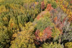 10a Off Turtle Lake Rd, , Winchester,  WI 54557 United States