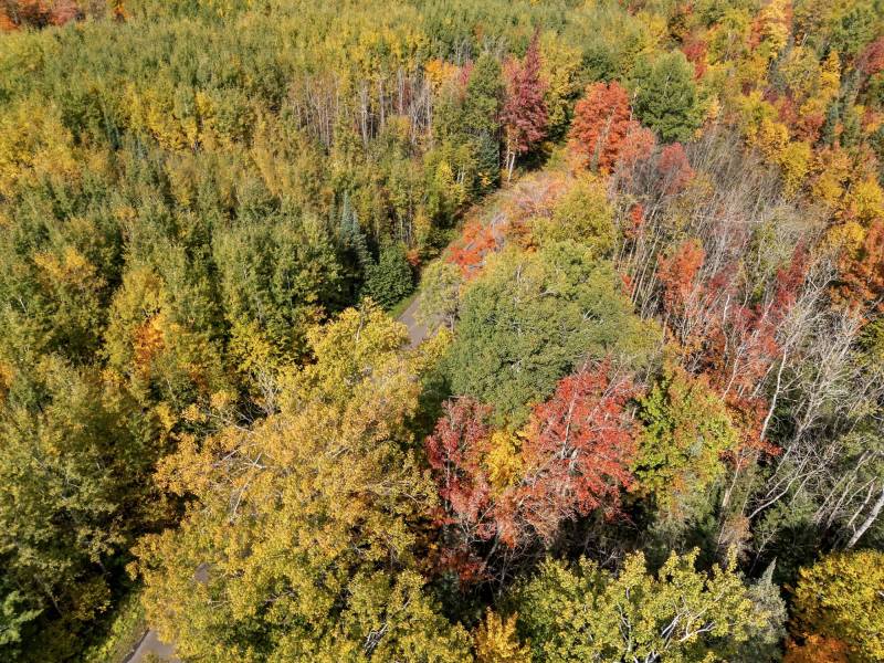 10a Off Turtle Lake Rd, , Winchester,  WI 54557 United States
