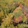 10a Off Turtle Lake Rd, , Winchester,  WI 54557 United States