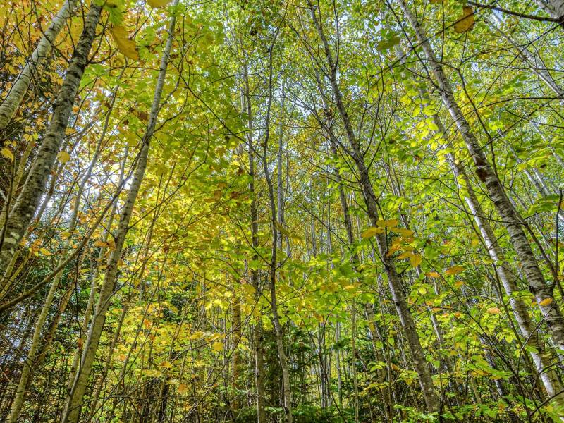 10a Off Turtle Lake Rd, , Winchester,  WI 54557 United States