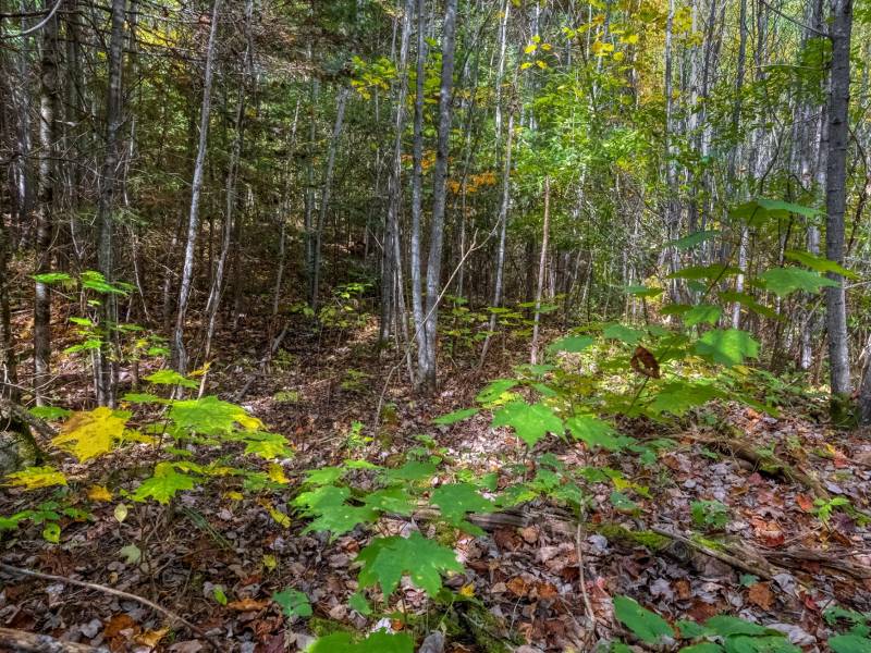 10a Off Turtle Lake Rd, , Winchester,  WI 54557 United States