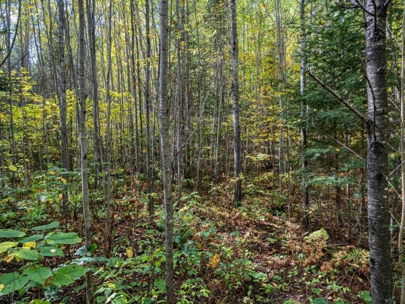 10a Off Turtle Lake Rd, , Winchester,  WI 54557 United States