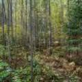 10a Off Turtle Lake Rd, , Winchester,  WI 54557 United States
