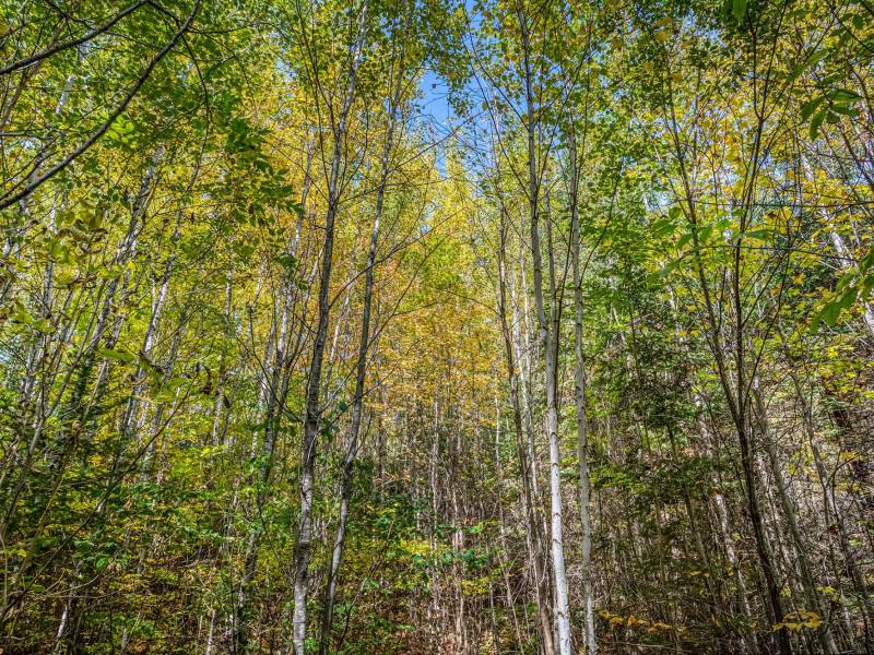 10a Off Turtle Lake Rd, , Winchester,  WI 54557 United States