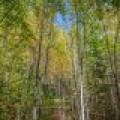 10a Off Turtle Lake Rd, , Winchester,  WI 54557 United States