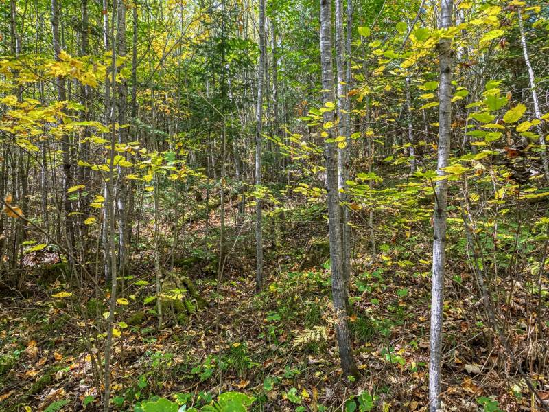 10a Off Turtle Lake Rd, , Winchester,  WI 54557 United States