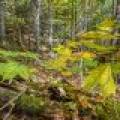 10a Off Turtle Lake Rd, , Winchester,  WI 54557 United States