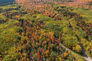 10a Off Turtle Lake Rd, , Winchester,  WI 54557 United States
